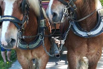 Huifkarrentocht Weg van Wetteren