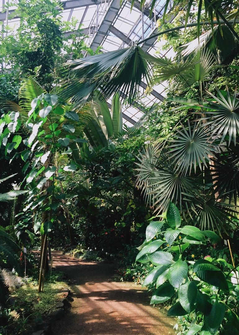 In de botanische tuin