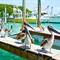 Islamorada - Keys
