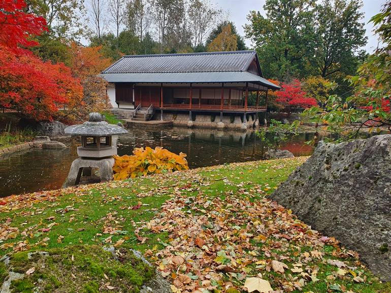 Japanse Tuin Hasselt