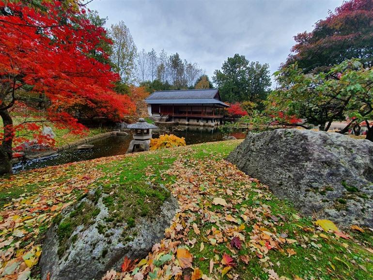 Japanse Tuin in Hasselt bezoeken