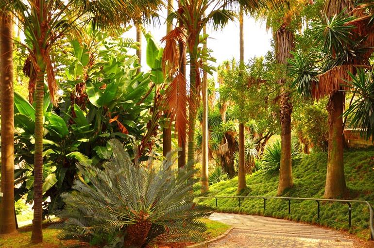 jardim botanico tropical portugal