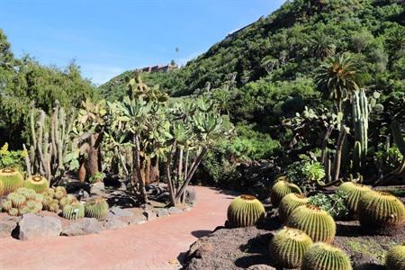 Jardin Botánico Canaria Viera y Clavijo