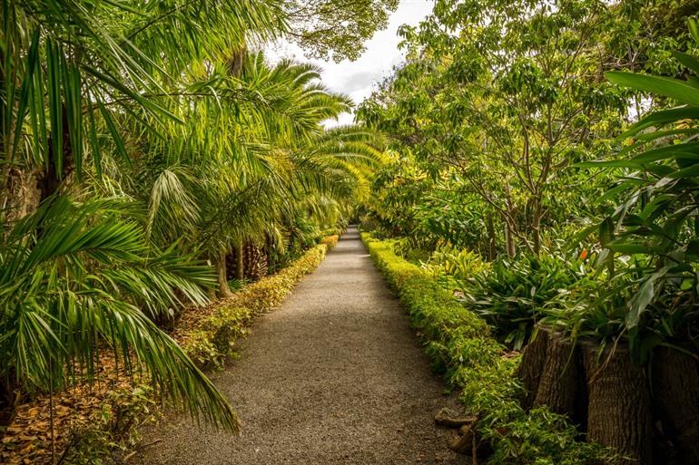 Jardin Botánico de Puerto de la Cruz