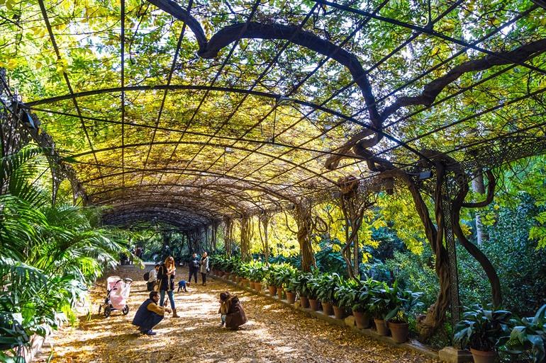 Jardín Botánico Histórico in Málaga