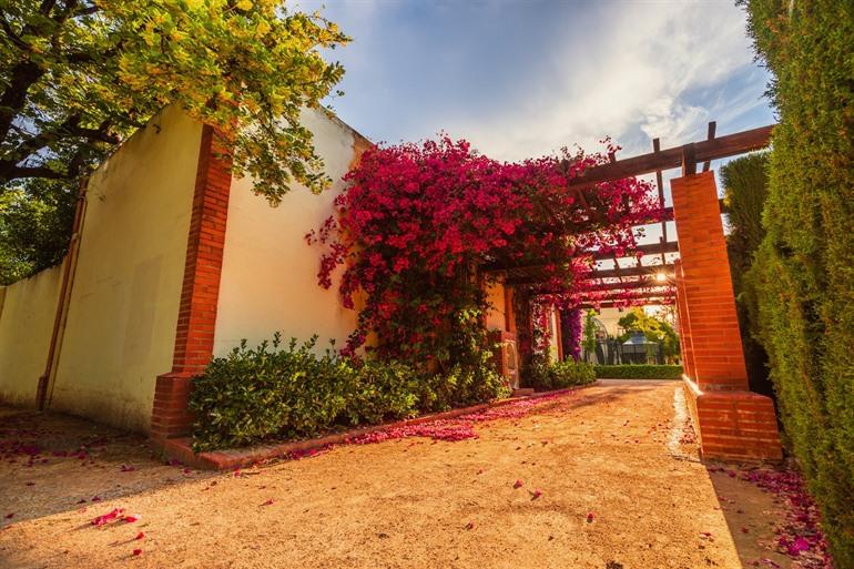 Jardins del Real / Jardines Viveros