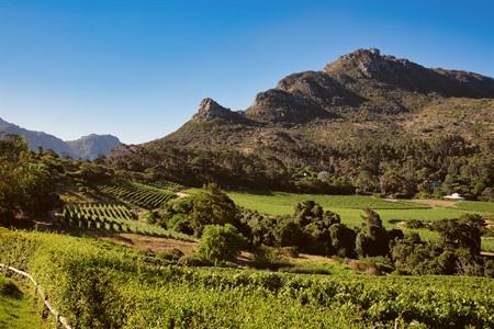 Kaapse Wijnlanden in Zuid-Afrika