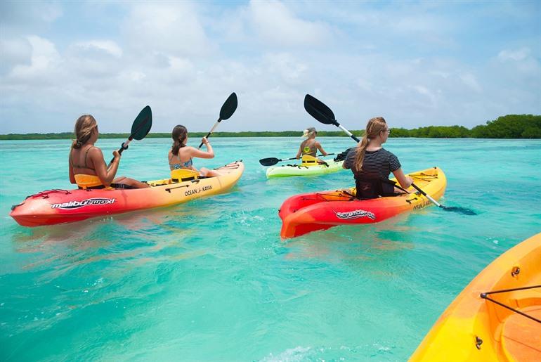 Kajakken tussen de mangroves, Bonaire