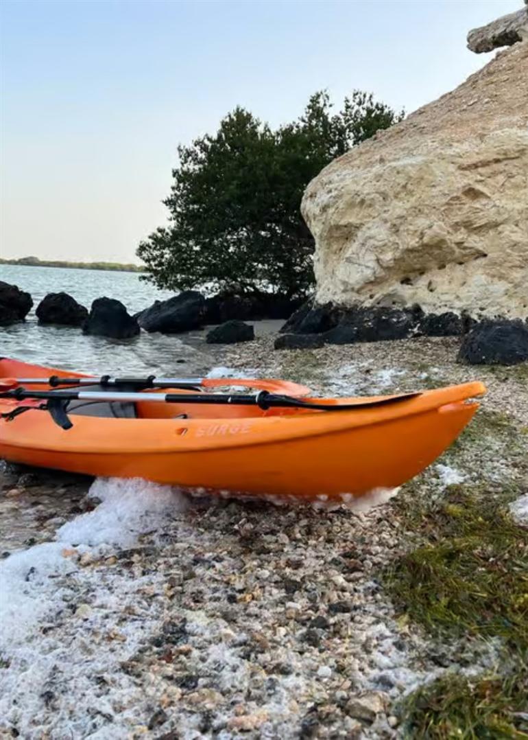 Kajakken tussen mangroves in het noorden