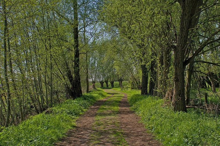 Kalevallei in Meetjesland