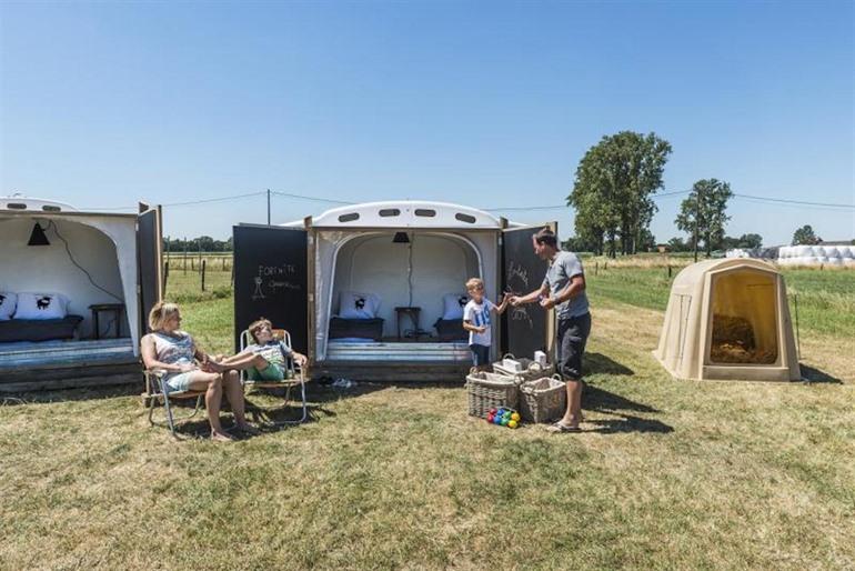 Kalverdutje in Herentals 