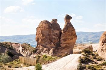 Kameel vorm rots in de Devrent vallei, Cappadocië