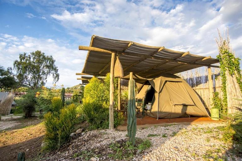 Kampeerplek of glampingtent boeken bij Urban Camp