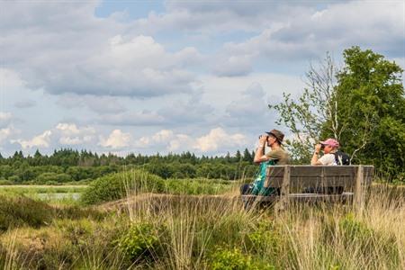 Kamperen in Drenthe: 10x campings in de Nederlandse provincie