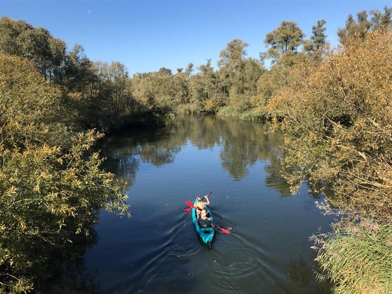 Kanovaren in het Biesbosch Nationaal Park