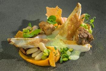 Kasteel Engelenburg boeken