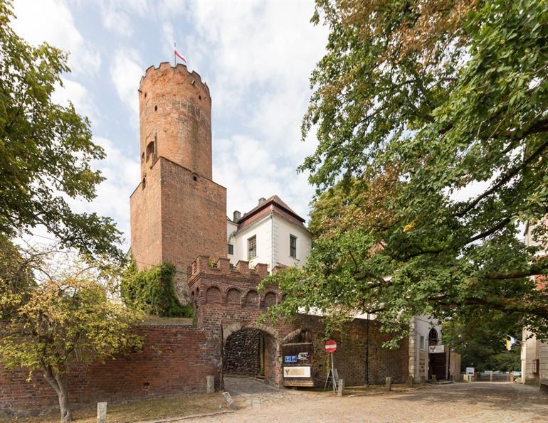 Kasteel van Lagów