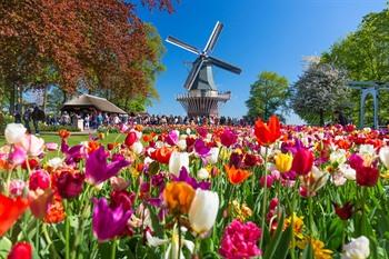 Keukenhof bezoeken