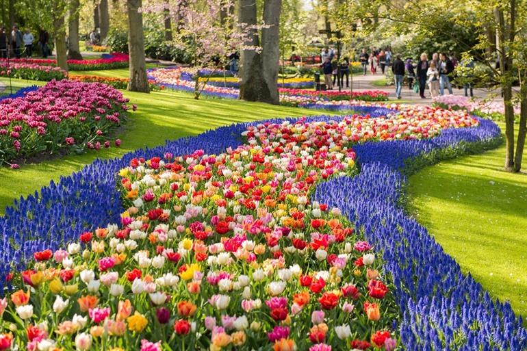 Keukenhof Nederland