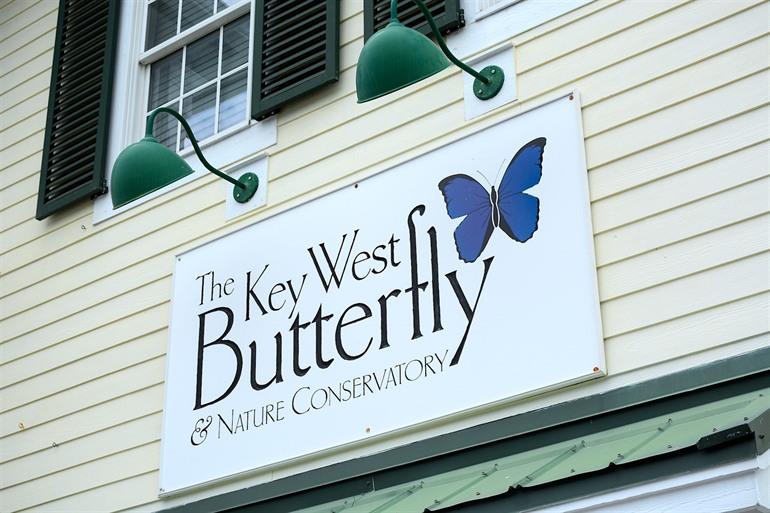 Key West Butterfly and Nature Conservatory