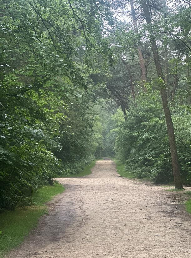 Wandelen op de Utrechtse Heuvelrug 9 x mooiste wandelroutes