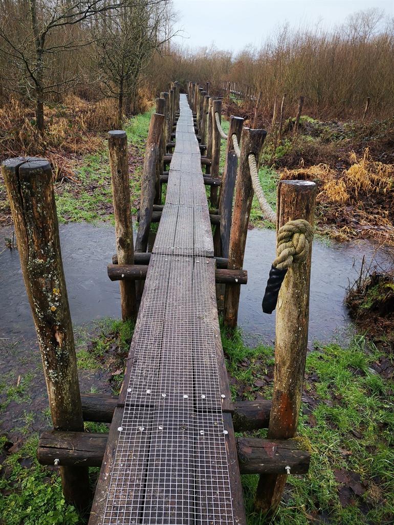 Knuppelpad in natuurgebied De Nuchten