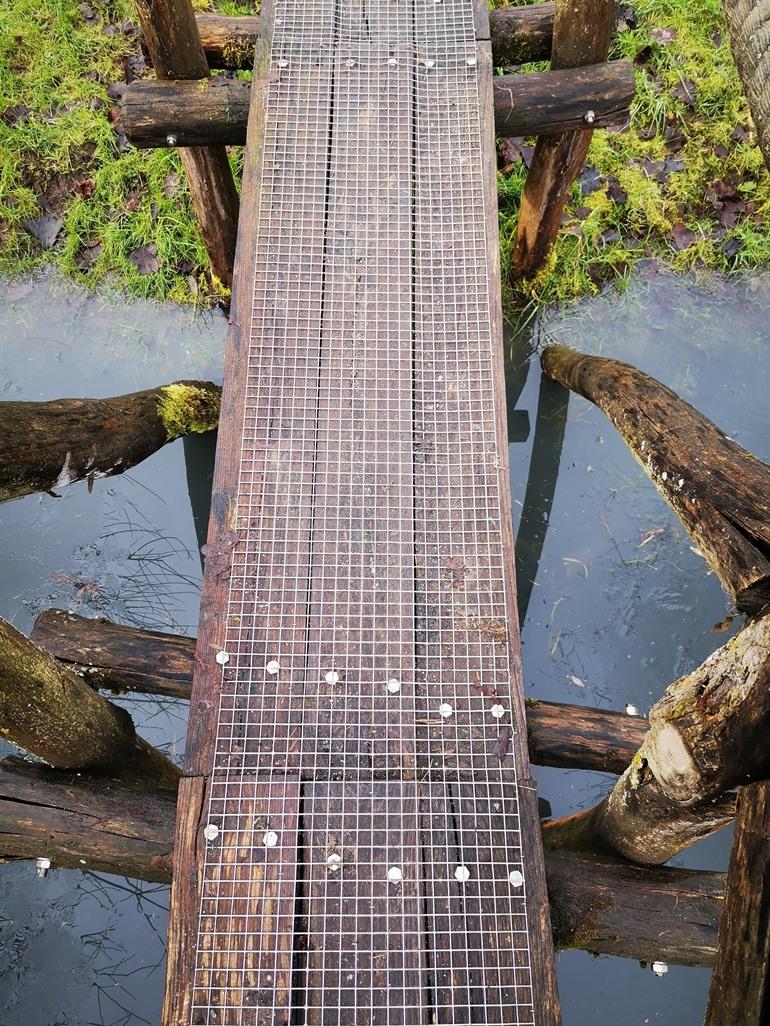 Knuppelpad in natuurgebied De Nuchten