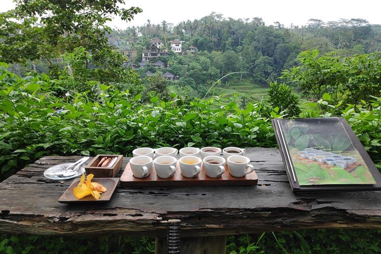Koffie proeven in Bali Pulina