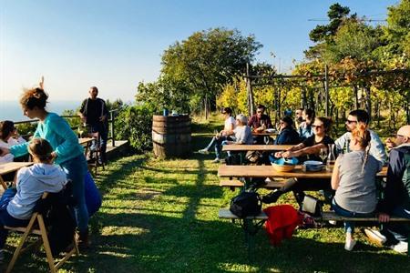 Kom meer te weten over de oorsprong van Prosecco wijn tijdens deze wijntour incl. proeverij