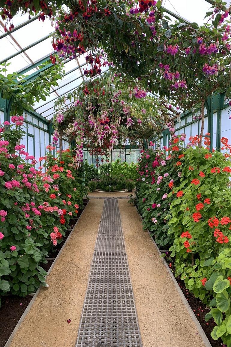 Koninklijke Serres van Laken bezoeken