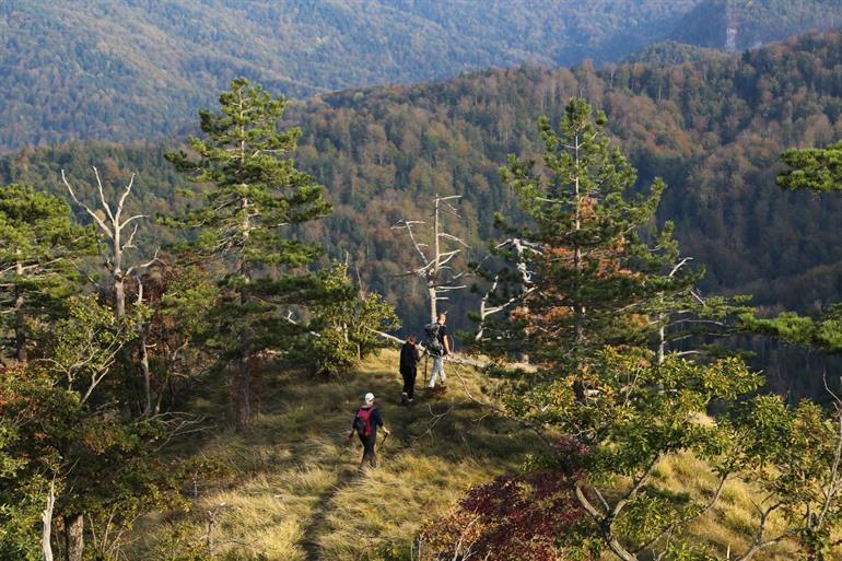 Konjuh Protected Landscape, Bosnië en Herzegovina
