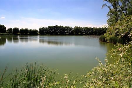 Kreek in het Meetjesland