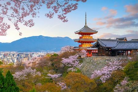 Bezienswaardigheden in Kyoto: alle highlights en verborgen plekken in de Japanse keizerstad