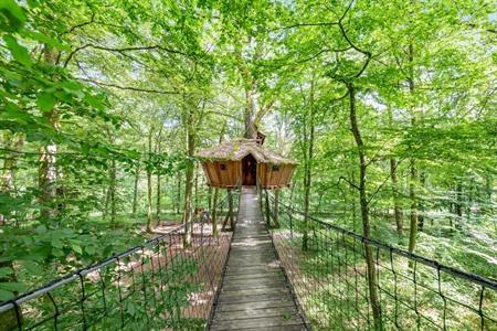 L'Arbre à Cabane