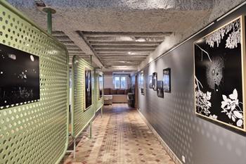 La Belladone bezoeken, Sint-Gillis