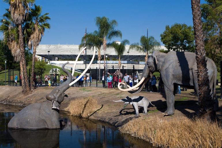 La Brea Tar Pits Los Angeles