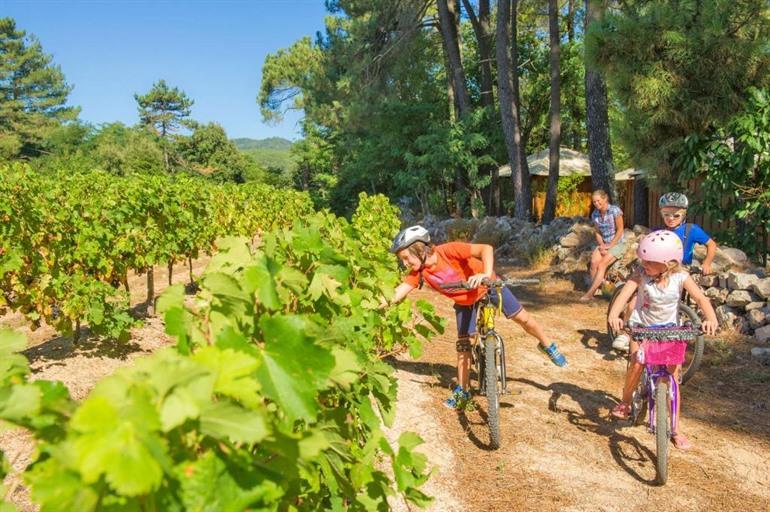La Croix de Vinchannes boeken