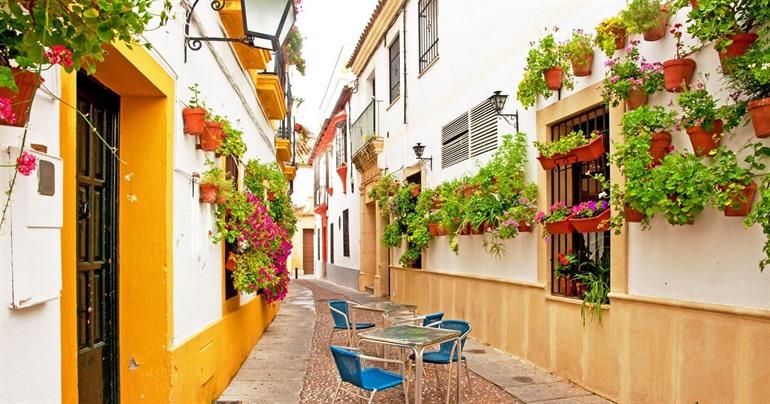 La Fiesta de los Patios Cordobeses
