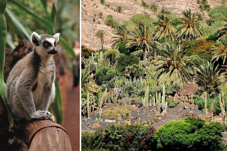 La Lajita Oasis Park bezoeken, Fuerteventura