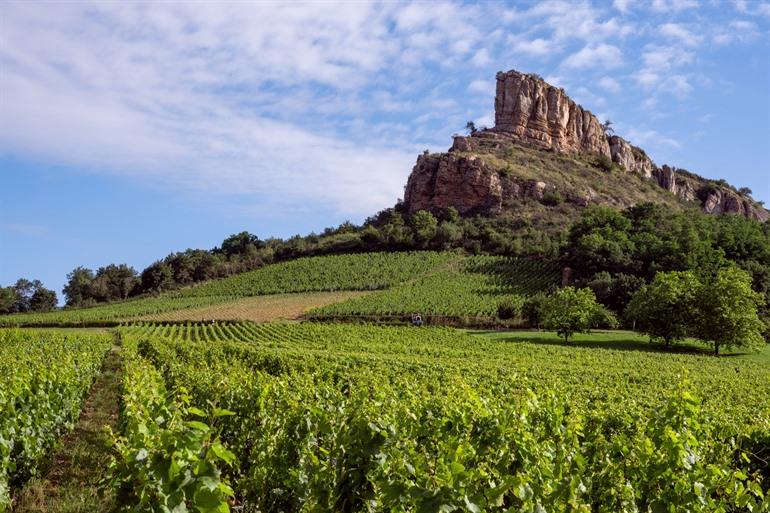 La Roche de Solutré boven de wijnranken