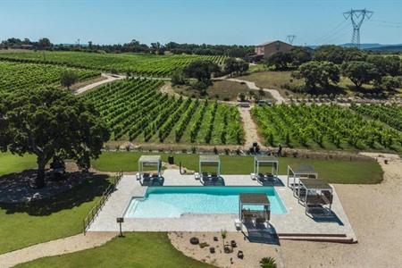 La Vinia Bed&Wine Experience met zicht op wijngaarden boeken