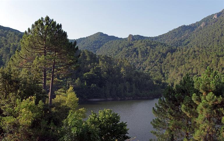 Lac de Sampolo, Corisca