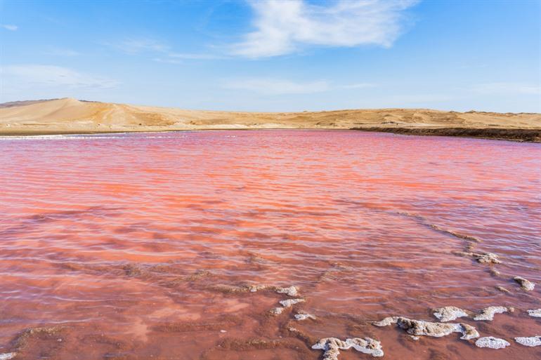 Laguna Rosada