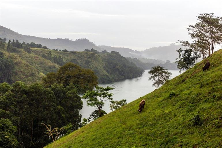 Lake Nyinambuga, Fort Portal