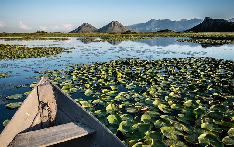 Lake Skadar Montenegro