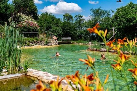 Landhotel Gut Wildberg met zwemvijver en sauna boeken