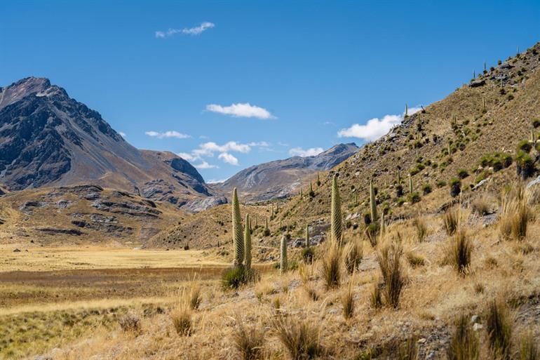 Landschap Cordillera Blanca, Huaraz