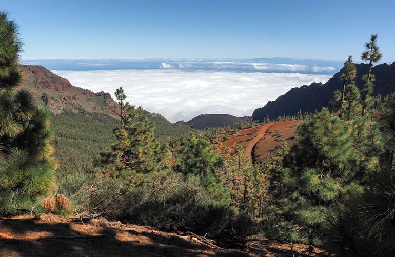 Landschap rondom Las Lagunetas, Tenerife