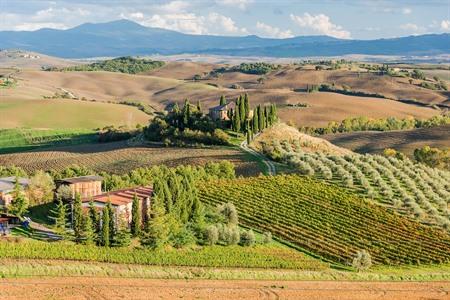 Landschap van Val d'Orcia