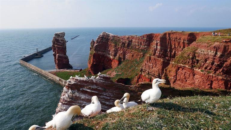 Lange Anna op het eiland Helgoland